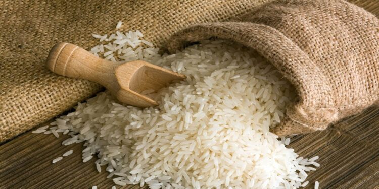 سعر الأرز الشعير اليوم الإثنين 25 أغسطس 2025 عريض ورفيع الحبة 1 سعر الأرز الشعير اليوم الإثنين 25 أغسطس 2025 عريض ورفيع الحبة