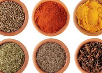 أسعار التوابل اليوم في محافظة الغربية الأربعاء 27 أغسطس 2025