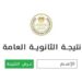 نتيجة الدور الثاني للثانوية العامة 2025 متاحة الآن عبر موقع وزارة التربية والتعليم 2 نتيجة الدور الثاني للثانوية العامة 2025 متاحة الآن عبر موقع وزارة التربية والتعليم