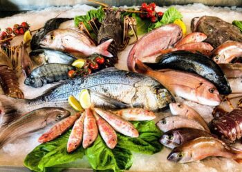 أسعار الأسماك اليوم في مصر.. البلطي والجمبري يواصلان التحرك