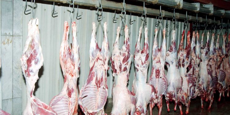 سعر الكندوز اليوم تحديث أسعار اللحوم الثلاثاء 5 أغسطس