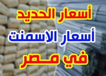 سعر طن الحديد والأسمنت اليوم الإثنين 18 أغسطس 2025 في الأسواق