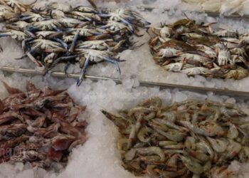 البلطي والجمبري النهاردة بكام؟.. أسعار السمك في الأسواق المصرية اليوم