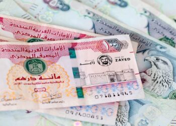 سعر صرف الدرهم الإماراتي اليوم الأحد بالبنك المركزي المصري