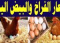 أسعار الدواجن والبيض في مصر اليوم الإثنين 4 أغسطس 2025