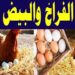 أسعار الدواجن والبيض في مصر اليوم الإثنين 4 أغسطس 2025 2 أسعار الدواجن والبيض في مصر اليوم الإثنين 4 أغسطس 2025