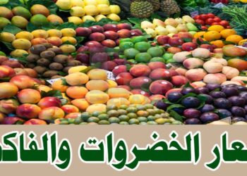 أسعار الخضروات والفاكهة في مصر اليوم الاثنين 18 أغسطس 2025.. بكام كيلو العنب؟