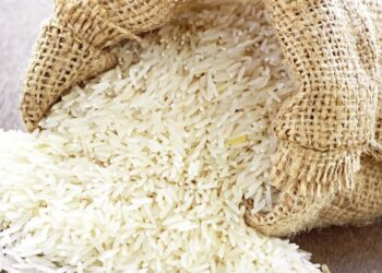 سعر كيلو أرز الشعير في الأسواق المصرية اليوم 15 سبتمبر 2025