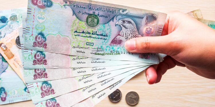 الدرهم الإماراتي مقابل الجنيه المصري.. أحدث أسعار اليوم الإثنين 22-9-2025