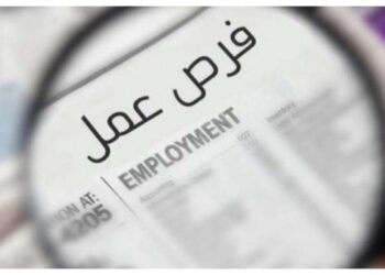 وزارة الشباب والرياضة تعلن عن وظائف 2025.. رابط التقديم والشروط المطلوبة