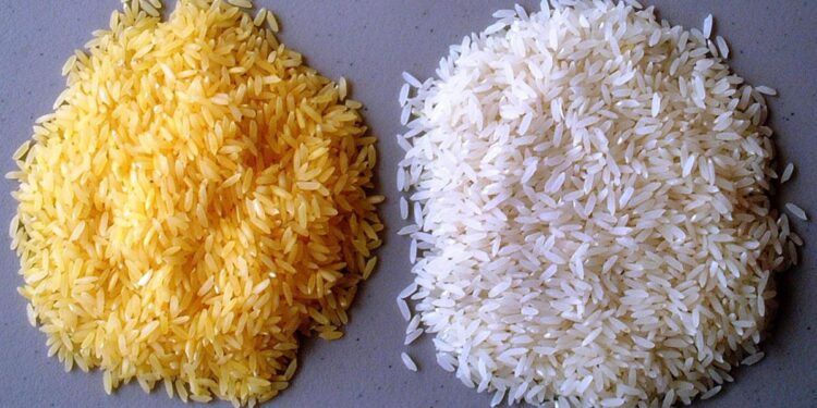 سعر طن الأرز الشعير في مصر اليوم الاثنين 29 سبتمبر 2025