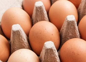 سعر كرتونة البيض اليوم الاثنين 29 سبتمبر 2025.. الأحمر والبلدي