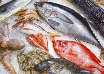 أسعار السمك اليوم الاثنين 29 سبتمبر 2025 في الأسواق المصرية