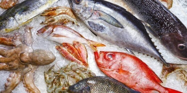 أسعار السمك اليوم الاثنين 29 سبتمبر 2025 في الأسواق المصرية 1 أسعار السمك اليوم الاثنين 29 سبتمبر 2025 في الأسواق المصرية