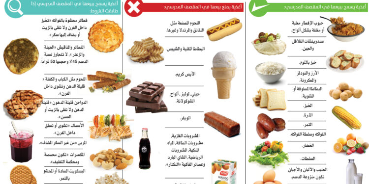 وجبة واحدة دسمة.. كيف تغيّر طريقة عمل دماغك؟ 1 وجبة واحدة دسمة.. كيف تغيّر طريقة عمل دماغك؟