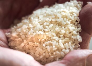 أسعار الأرز الشعير في مصر اليوم الأربعاء.. تفاصيل سعر العريض الحبة في الأسواق