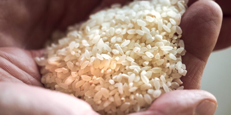 أسعار الأرز الشعير في مصر اليوم الأربعاء.. تفاصيل سعر العريض الحبة في الأسواق