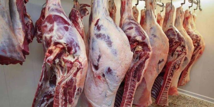 أسعار اللحوم البلدي والمستوردة اليوم الإثنين 1 سبتمبر 2025