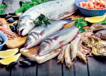 أسعار الأسماك والمأكولات البحرية في الغربية اليوم الاثنين 8 سبتمبر