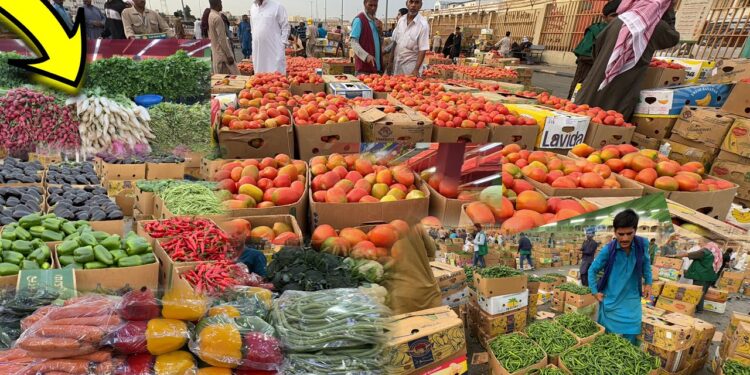 أسعار الفاكهة والخضروات اليوم السبت 6 سبتمبر 2025 – آخر تحديث 1 أسعار الفاكهة والخضروات اليوم السبت 6 سبتمبر 2025 – آخر تحديث