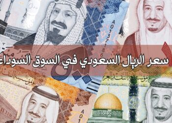 الريال السعودي بكام؟.. سعر الصرف اليوم الإثنين 1 سبتمبر 2025 في البنوك