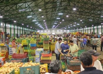 سوق العبور أسعار الخضار والفاكهة اليوم الخميس 11-9-2025