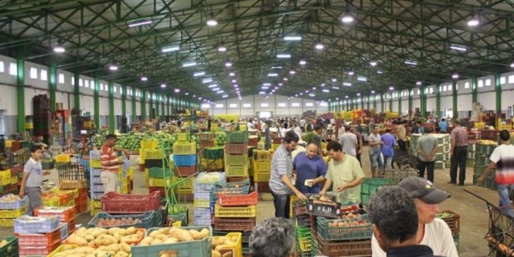 سوق العبور أسعار الخضار والفاكهة اليوم الخميس 11-9-2025