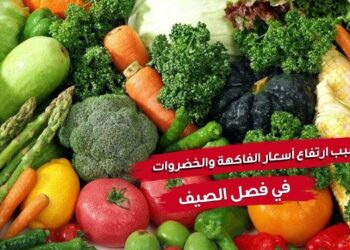 أسعار الفاكهة والخضروات اليوم الإثنين 1 سبتمبر 2025.. العنب يتصدر الاهتمام