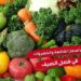 أسعار الفاكهة والخضروات اليوم الإثنين 1 سبتمبر 2025.. العنب يتصدر الاهتمام