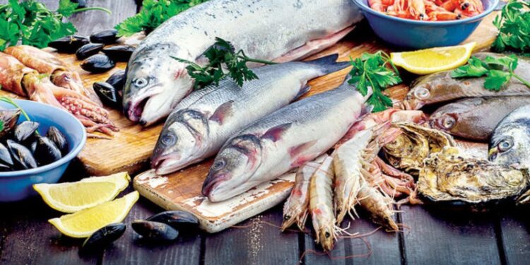 أسعار الأسماك الطازجة اليوم حركة بيع متوسطة واستقرار نسبي في الأسواق 1 أسعار الأسماك الطازجة اليوم حركة بيع متوسطة واستقرار نسبي في الأسواق