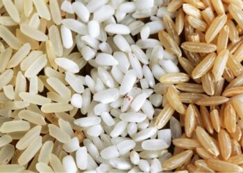 أسعار الأرز الشعير بمختلف الحبوب اليوم الاثنين 27 أكتوبر 2025