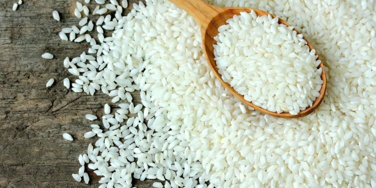 سعر الأرز الشعير اليوم في الأسواق المحلية الخميس 2 أكتوبر 2025