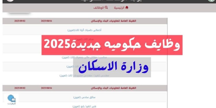 وظائف التنظيم والإدارة 2025 التخصصات المطلوبة وآخر موعد للتقديم 1 وظائف التنظيم والإدارة 2025 التخصصات المطلوبة وآخر موعد للتقديم