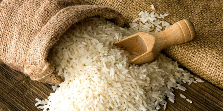 سعر الرز والشعير اليوم الثلاثاء 14-10-2025 في الأسواق والمحلات