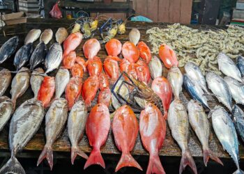 أسعار الأسماك والجمبري اليوم في سوق العبور.. بيان تفصيلي بالأنواع