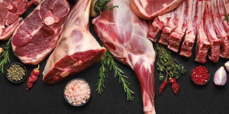 سعر كيلو اللحم اليوم الثلاثاء 14 أكتوبر 2025.. استقرار قبل منتصف الشهر