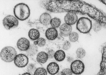 منظمة الصحة تحذر من بكتيريا قاتلة تنتقل بين البشر