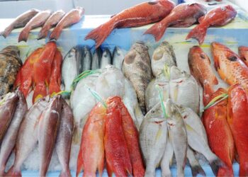 أسعار الأسماك اليوم في الأسواق المصرية البوري يسجل 180 جنيهًا السبت 18 أكتوبر 2025