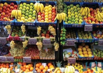 أسعار الخضروات والفاكهة اليوم في مصر كيلو الطماطم بـ20 جنيهًا للكيلو