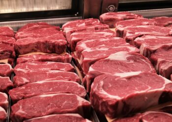 أسعار اللحوم اليوم في الأسواق المصرية الثلاثاء 7 أكتوبر 2025