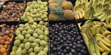سعر الموز والفواكه الأخرى في الأسواق المصرية اليوم الاثنين 3 سعر الموز والفواكه الأخرى في الأسواق المصرية اليوم الاثنين