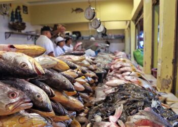 أسعار السمك والجمبري اليوم الثلاثاء 14 أكتوبر 2025.. السوق يشهد موجة ارتفاع جديدة