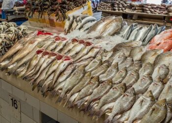 أسعار الأسماك والمأكولات البحرية اليوم في سوق العبور الثلاثاء 21 أكتوبر 2025