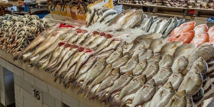 أسعار الأسماك والمأكولات البحرية اليوم في سوق العبور الثلاثاء 21 أكتوبر 2025