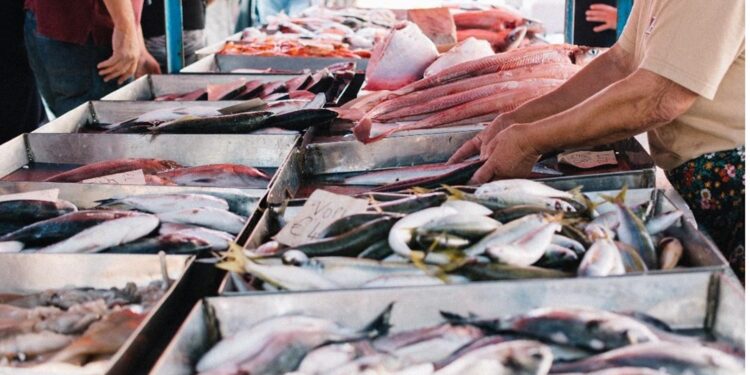 أسعار الأسماك الطازجة اليوم الخميس 2 أكتوبر 2025 بسوق العبور 1 أسعار الأسماك الطازجة اليوم الخميس 2 أكتوبر 2025 بسوق العبور