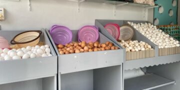 سعر كرتونة البيض اليوم بالأسواق يشهد هبوطًا مفاجئًا يفرح المستهلكين 3 سعر كرتونة البيض اليوم بالأسواق يشهد هبوطًا مفاجئًا يفرح المستهلكين