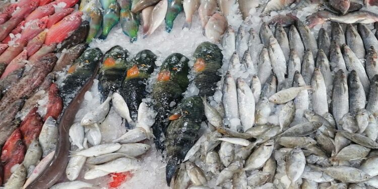 أسعار الأسماك الطازجة والجمبري اليوم الأربعاء 12 نوفمبر 2025 داخل الأسواق المحلية