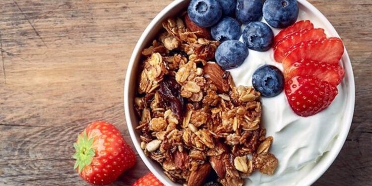 الزبادي اليوناني في المنزل: طريقة التحضير وفوائده مقارنة بالزبادي العادي 1 الزبادي اليوناني في المنزل