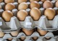 سعر البيض اليوم في مصر آخر التحديثات الاثنين 24 نوفمبر 2025
