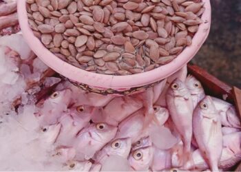 سعر السمك والجمبري اليوم الثلاثاء 25 نوفمبر 2025 في الأسواق المصرية